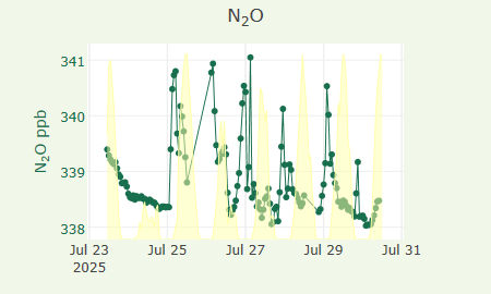 N2O